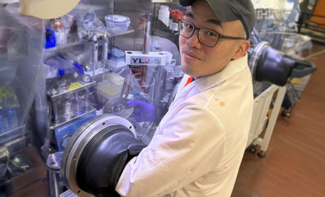 Person working in a lab with gloves in a chamber