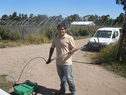 A blueberry harvester holds an old shaker that has been determined to cause too much damage to the blueberries. 