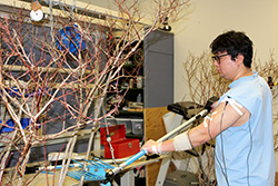 Graduate student Eunsik Kim testing a modified olive shaker while hooked up to an electromyogram to measure the stress the shaker has on his muscles.