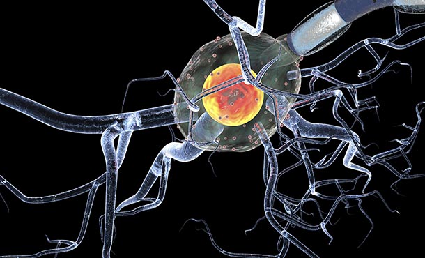 nerve cells concept for neurological diseases